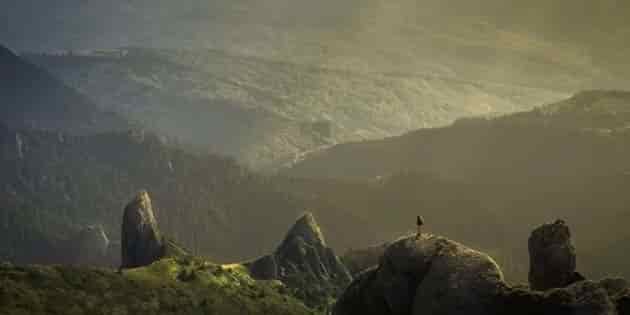 man on a mountain top overlooking immense view of valley below