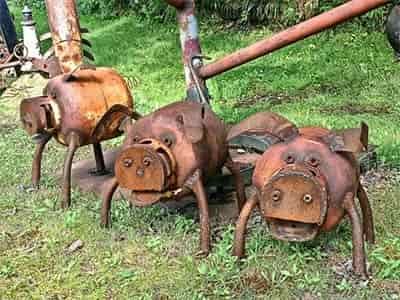 repurpose old propane tanks into pigs or outdoor fireplaces