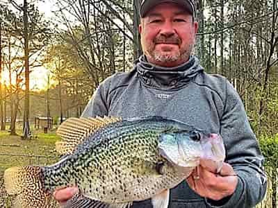 River-Black-Crappie fish caught on a crappie jig