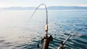 Can You Use Vaseline On Fishing Reels?