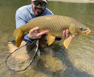 large held up by angler 5lb weight