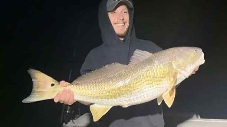What Size Hook For Redfish?