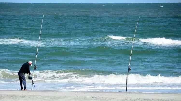 What Size Hook For Surf Fishing?