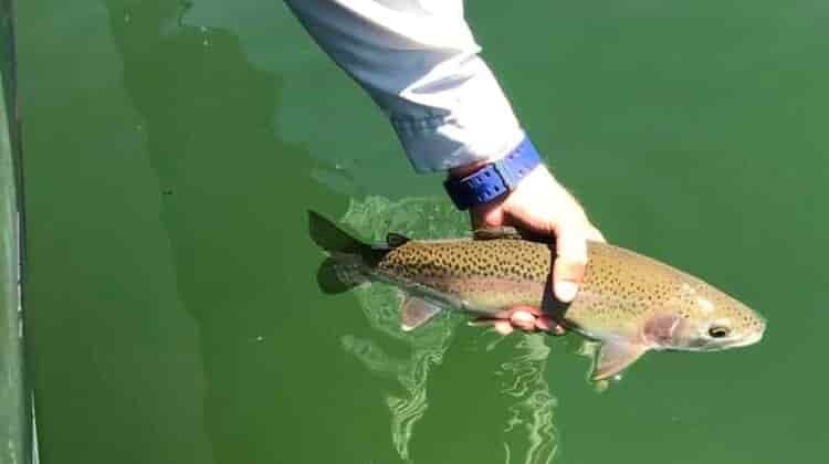 Do You Need A Fishing License On Long Island?
