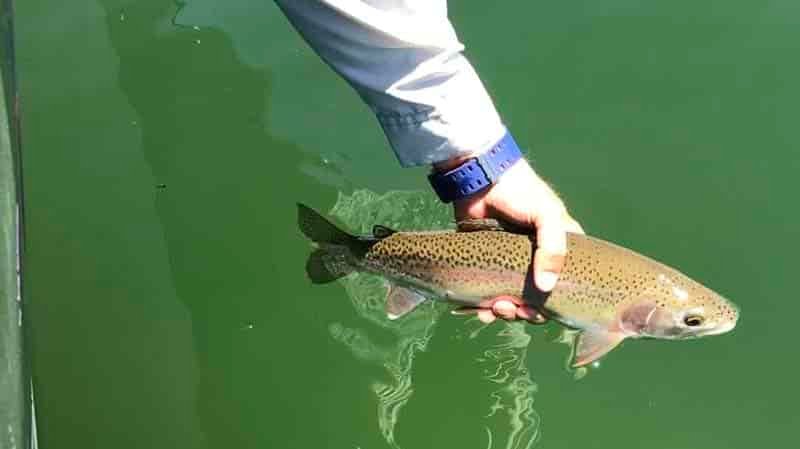 Do You Need A Fishing License On Long Island?