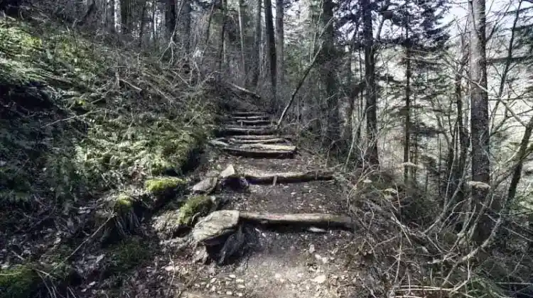 How Long Does It Take to Hike the Appalachian Trail