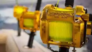 Are Penn Fishing Rods Good?