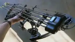 How Far Can a Compound Bow Shoot?