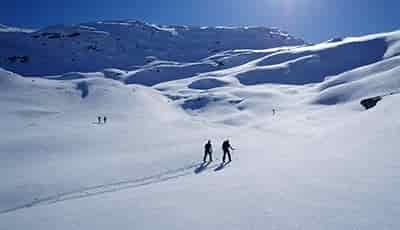 couple nordic skiing in fresh powder in field