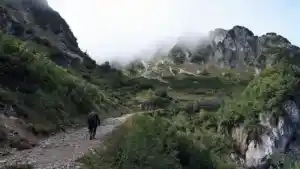 What Is The Difference Between Trekking and Hiking?