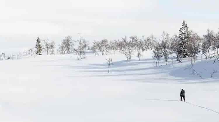 Nordic Skiing Vs Cross Country
