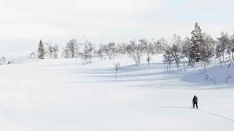 Nordic Skiing Vs Cross Country