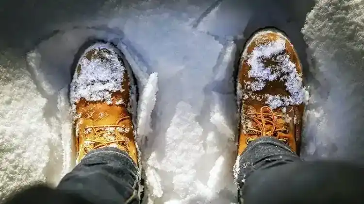 Are Timberlands Good for Hiking?