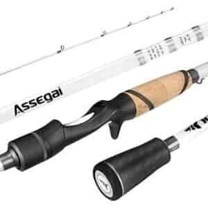 Assegai Technique Bass Fishing Rod