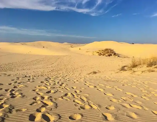 Best RV Park in Monahans TX