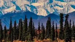 What Is The Cost Of A Remote Off Grid Cabin In Alaska?