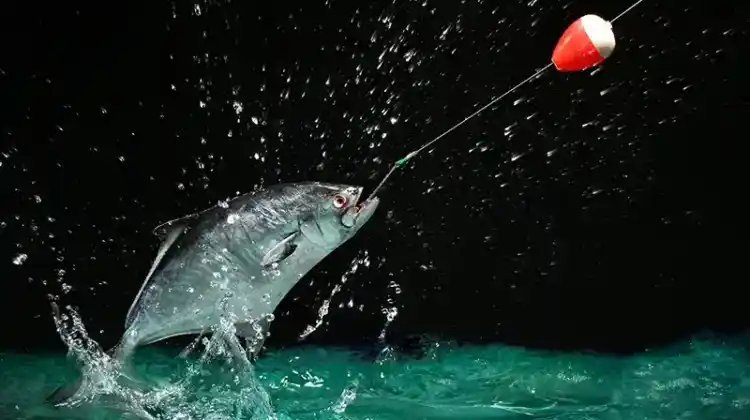 Unlock the Night with these Fishing Tips