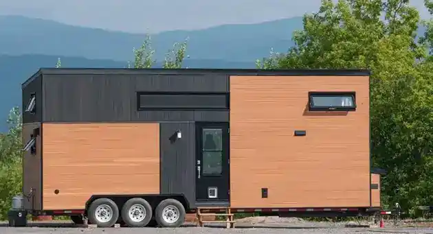 Eucalyptus from Minimalist Houses