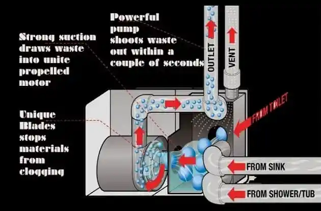 Macerator Pumps