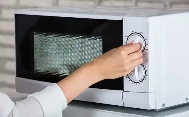 microwave for RV
