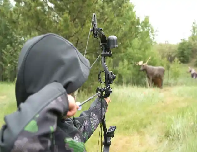 3D and Target Shooting