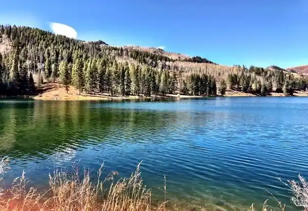 Colorado’s Baby Doe Campground