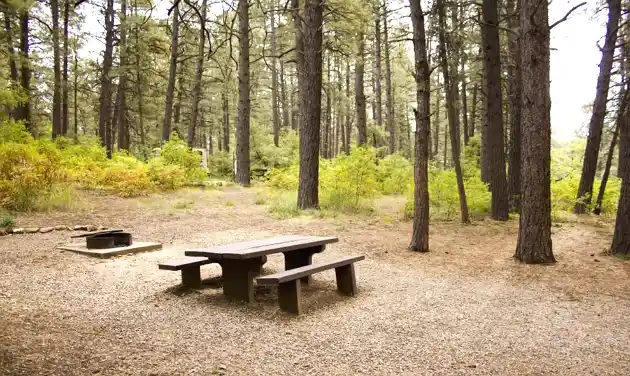 Durango’s Junction Creek Campground