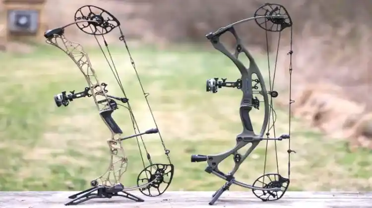 Hoyt Vs. Mathews Bows: Which One You Should Choose?