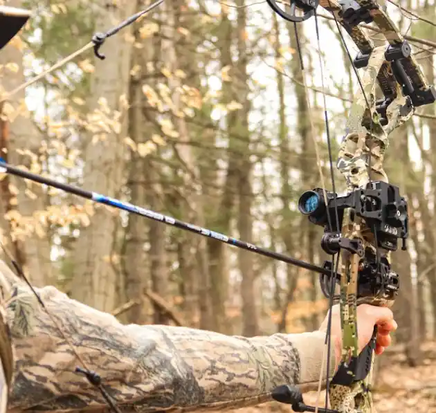 Hoyt innovative design