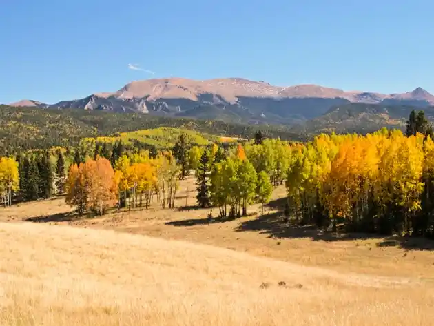 Mueller State Park Campground in Colorado Springs