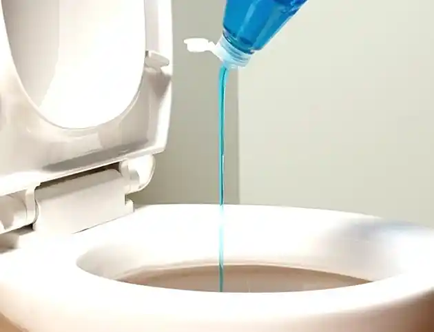 Uncloging RV Toilet