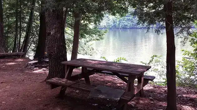 camp site at river roads camp pick-nik table fire pit and river view