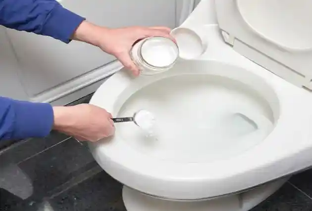 using bleach Cleaning RV Toilet