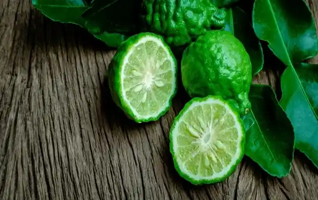 Bergamot