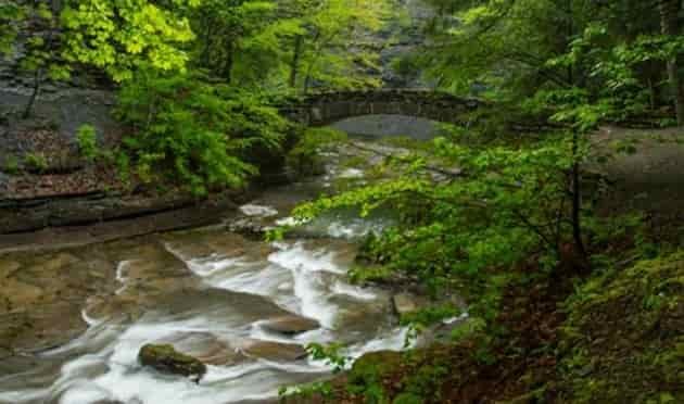 Campground STONY BROOK STATE PARK