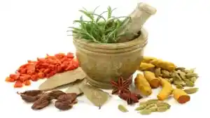 How To Find The Best Natural Medicines