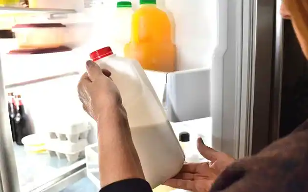 Storing milk