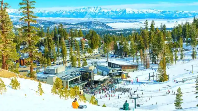 The 5 Best Skiing Resorts in California