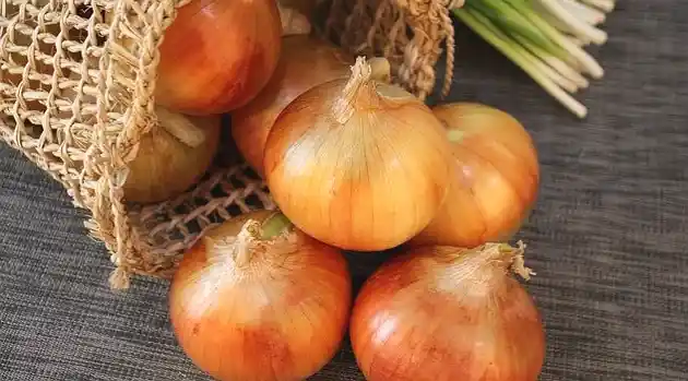 storing Onions