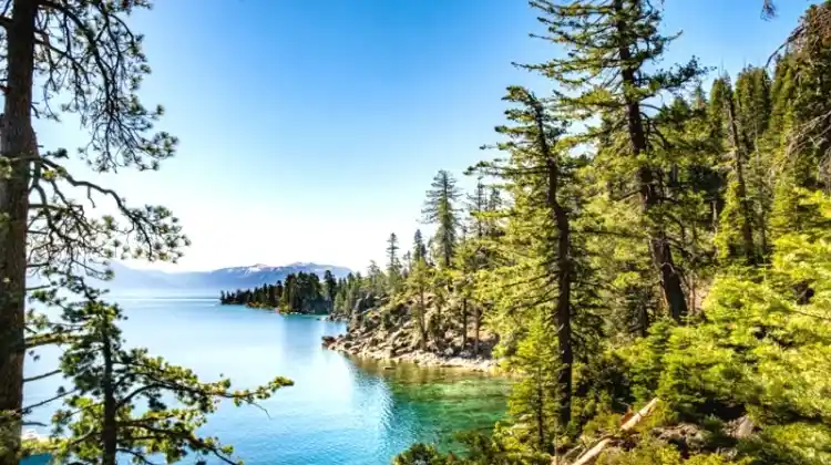 Can You Rent A Houseboat On Lake Tahoe