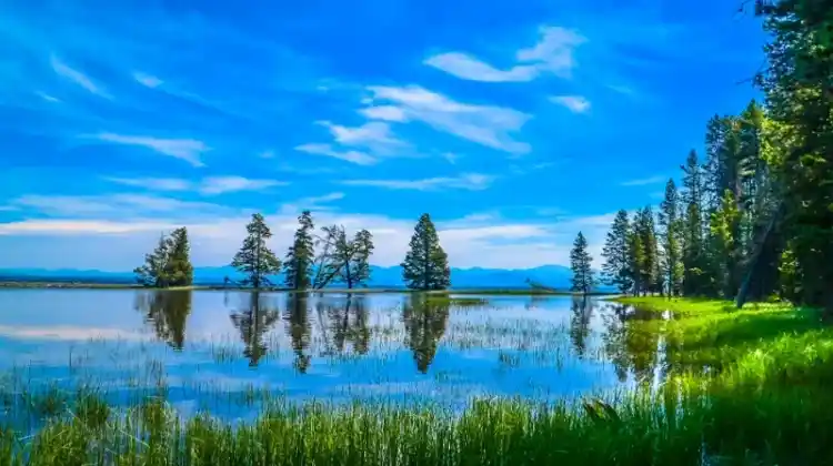 Can You Swim In Yellowstone Lake