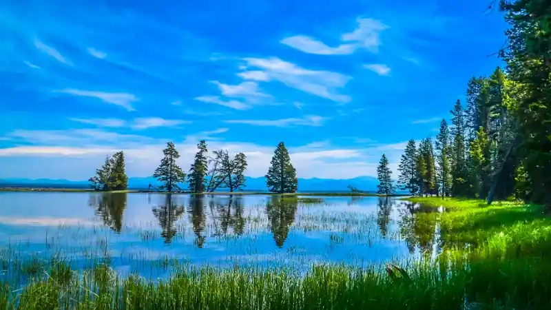 Can You Swim In Yellowstone Lake