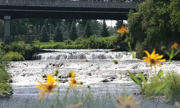 water falls at Cannon Falls Campground