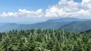 Sylva NC Campgrounds