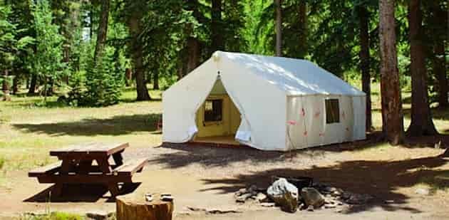 brookchar campground big lake az