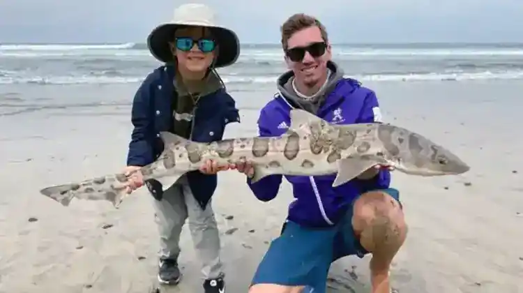 Choosing the Ideal Surf Fishing Rod