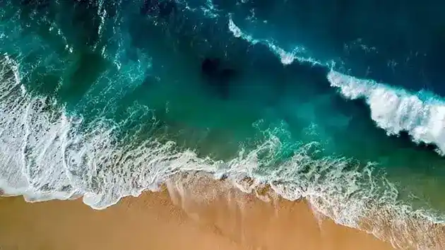 surf fishing in florida year around