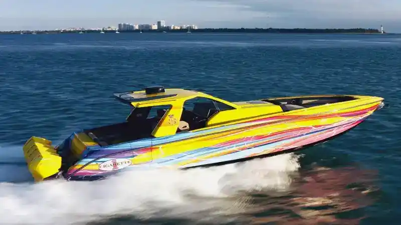 Pontoon Boat or Speedboat