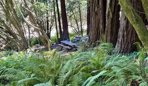 pomo camp site