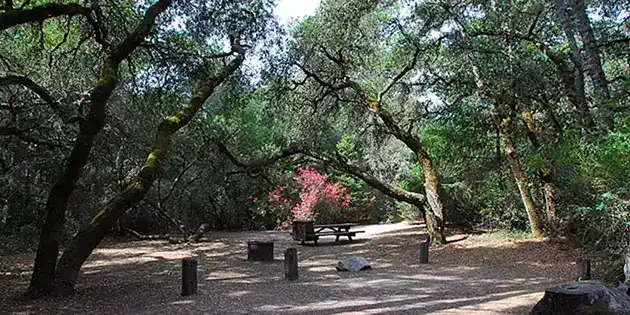 pomo campgrounds